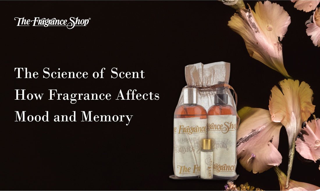 The Science of Scent: How Fragrance Affects Mood and Memory - The Fragrance Shop 